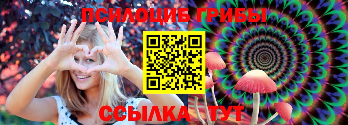 Псилоцибиновые грибы Magic Shrooms  Вход с VPN  Выборг 
